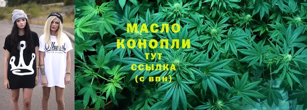 гидра Осинники