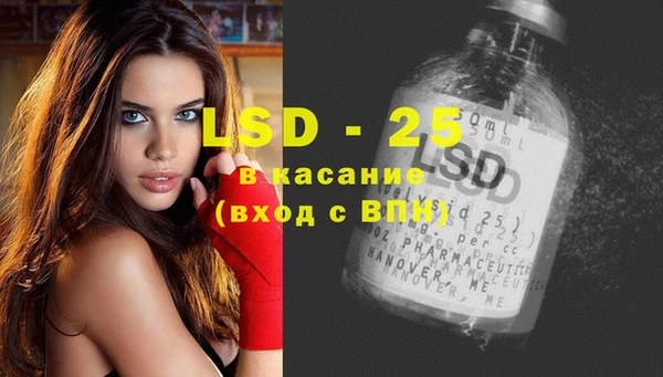 a pvp Алзамай