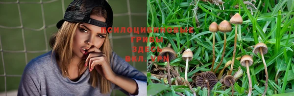 a pvp Алзамай
