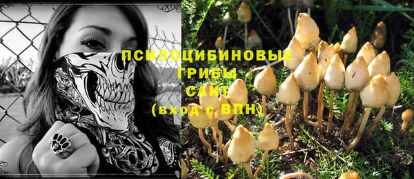 прущие крисы Алексеевка