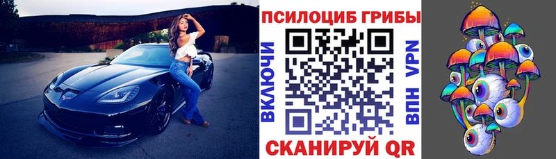 Галлюциногенные грибы мицелий Кохма