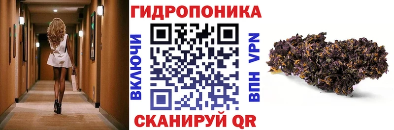 Бошки Шишки индика Кохма